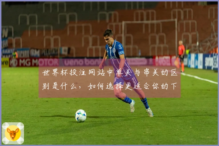 世界杯投注网站中单关与串关的区别是什么，如何选择更适合你的下注方式