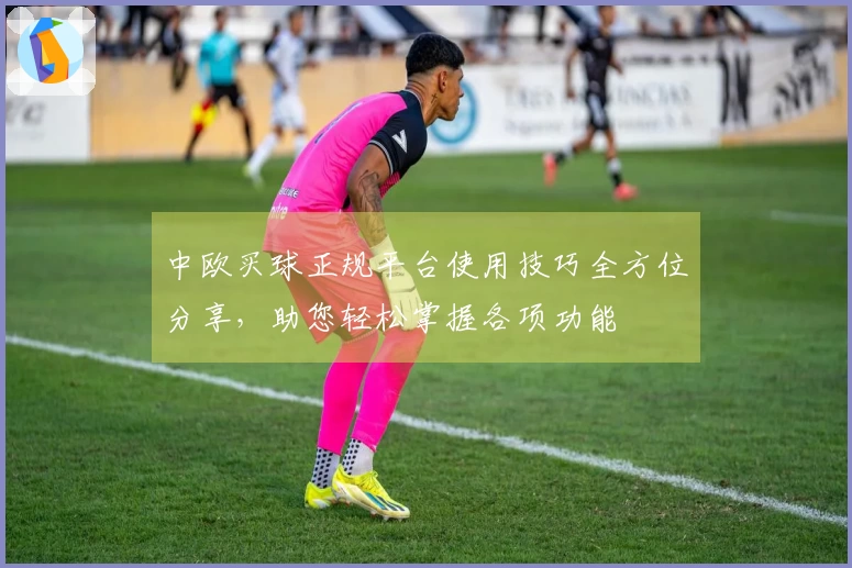 中欧买球正规平台使用技巧全方位分享，助您轻松掌握各项功能