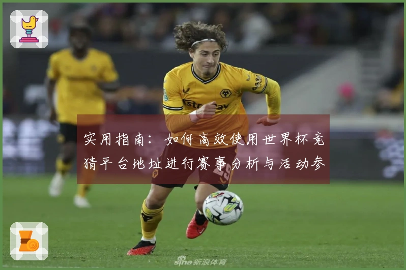 实用指南：如何高效使用世界杯竞猜平台地址进行赛事分析与活动参与