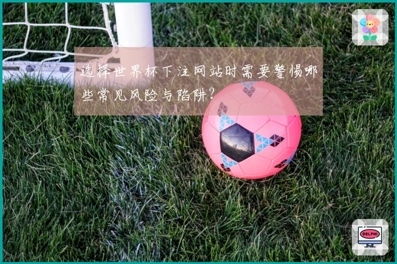 选择世界杯下注网站时需要警惕哪些常见风险与陷阱？