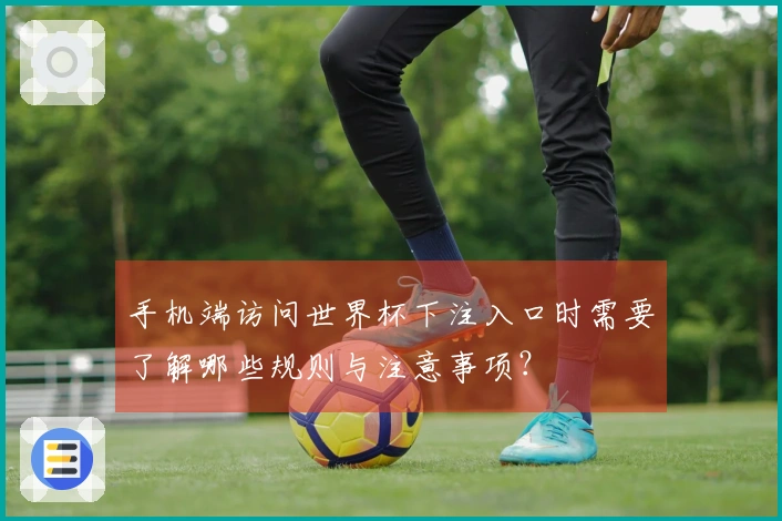 手机端访问世界杯下注入口时需要了解哪些规则与注意事项？