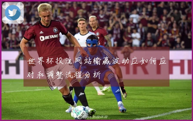 世界杯投注网站输赢波动应如何应对和调整流程分析