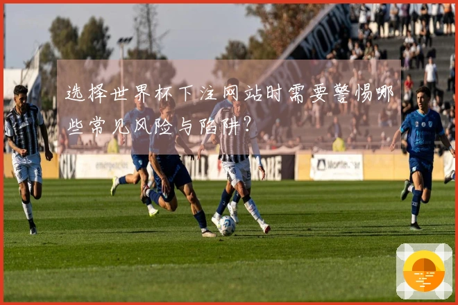 选择世界杯下注网站时需要警惕哪些常见风险与陷阱？