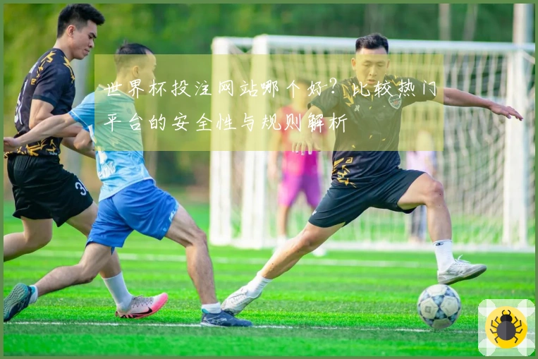 世界杯投注网站哪个好？比较热门平台的安全性与规则解析