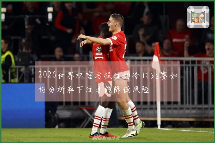 2026世界杯官方投注的冷门比赛如何分析和下注才能降低风险