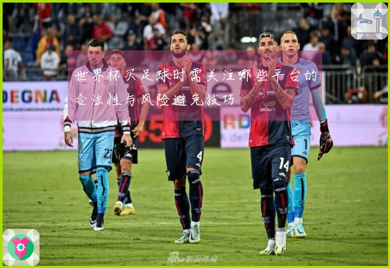 世界杯买足球时需关注哪些平台的合法性与风险避免技巧