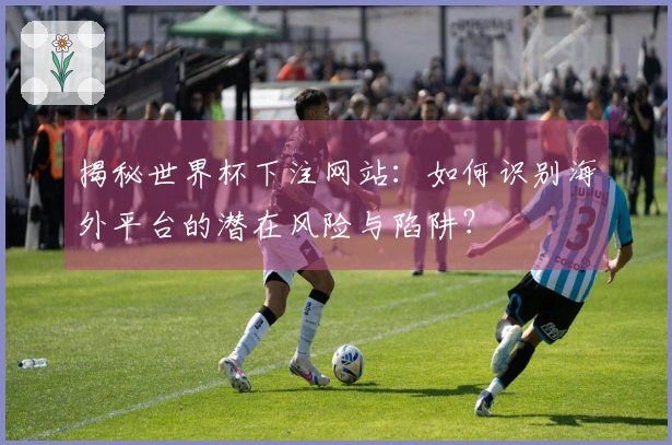 揭秘世界杯下注网站：如何识别海外平台的潜在风险与陷阱？