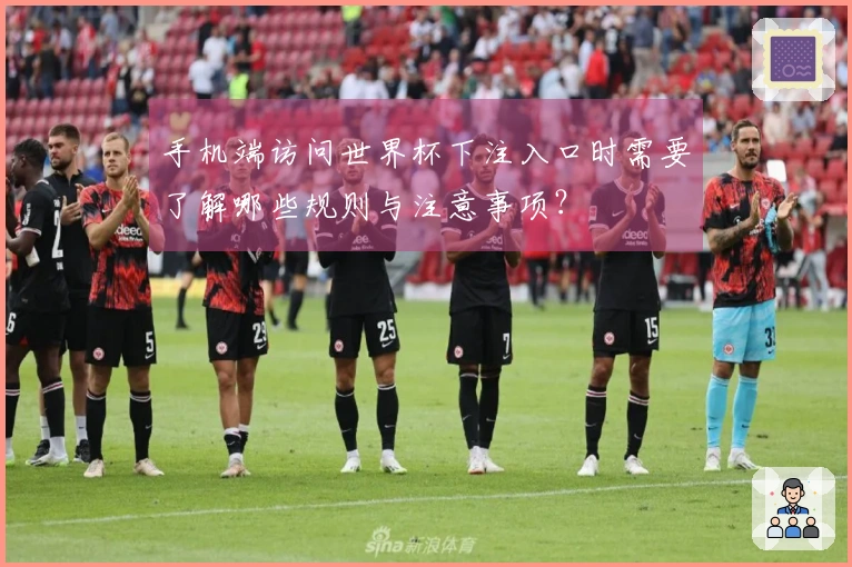 手机端访问世界杯下注入口时需要了解哪些规则与注意事项？